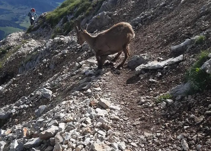 Les Dolos De Julie Lejlighed Gresse-en-Vercors