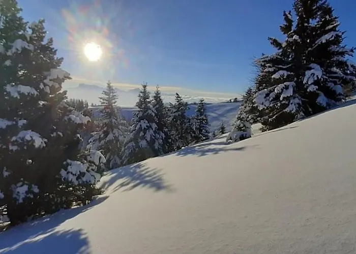 Les Dolos De Julie Gresse-en-Vercors